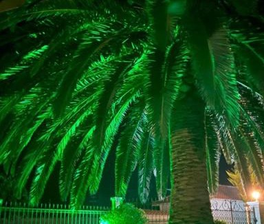 Moudros Apartment | Anastasia's Garden - Green Apartment
