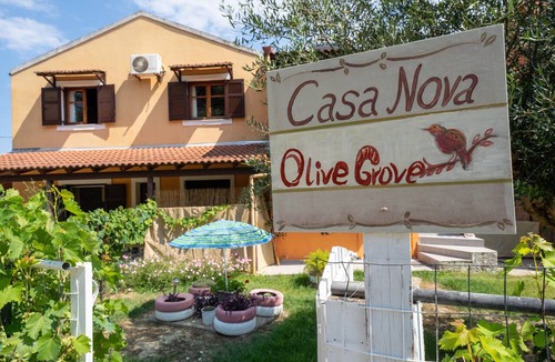 Molos Apartment | Apartment 'Casa Nova Olive Grove' with Sea View, Wi-Fi and Air Conditioning