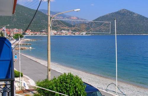 Livadi Hotel | Apollon Hotel