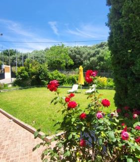 Filaki Apartment | Argyroupolis Dimitris Rooms