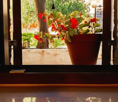 Afissos House | Armiriki Seafront House