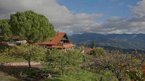 Kato Pedina Ski Chalet | Aselinos Forest Estate