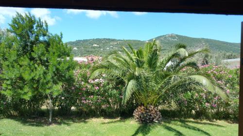 Skiathos Villa | BAREFOOT COTTAGE