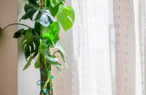 Dafni-Ymittos Apartment | Bright Apartment Near to Metro