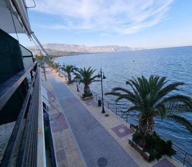 Agii Theodori Apartment | Cαλμα3