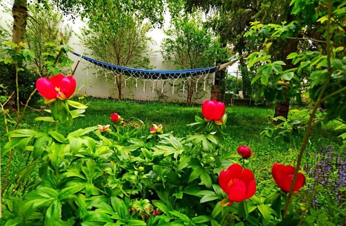 Alexandroupoli Apartment | Cactus Oasis