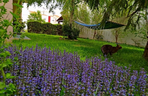 Alexandroupoli Apartment | Cactus Oasis