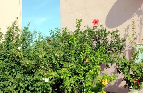 Gimari House | Clios House