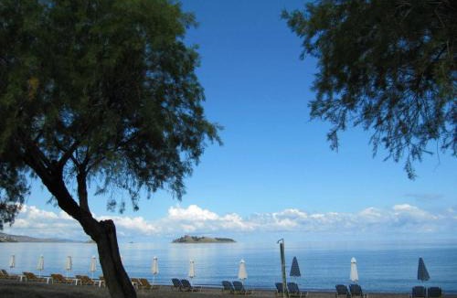 Petra House | COASTLINE
