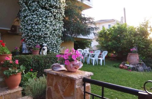 Igoumenitsa Apartment | COZY APPARTMENT in ETHNIKI ANTISTASI