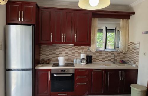 Istiaia-Aidipsos House | Cozy Boutique Village Home with Garden BBQ and Playground