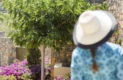 Vathi Resort | Daios One Bedroomed Villa