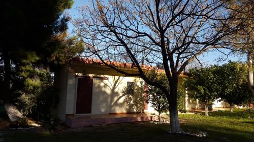 Tolo Apartment | Danaides Bungalows