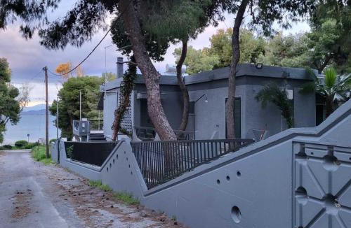 Dilesi House | Delion Guest House