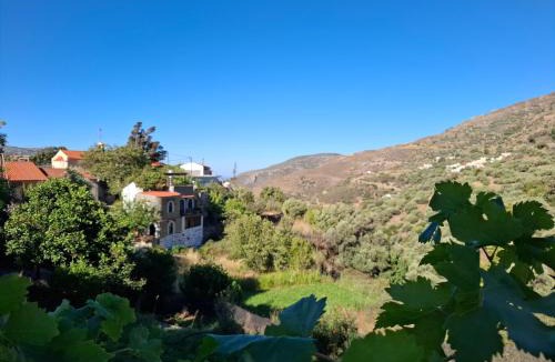 Livadia Hotel | Elafonisos Rooms