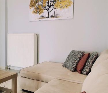 Dirfys-Messapia Apartment | Ellegant apartment in Politika