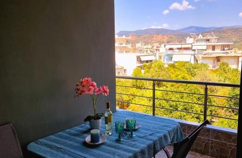 Sparta Apartment | Estrella Apartment