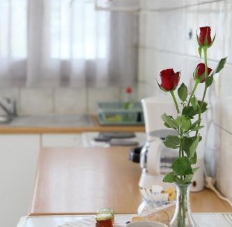 Mesolongi Apartment | Flo's Apartment 3