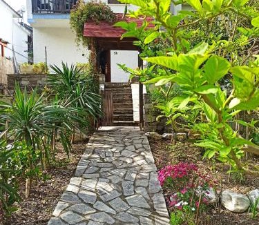 Zagora-Mouresi Villa | Flower house
