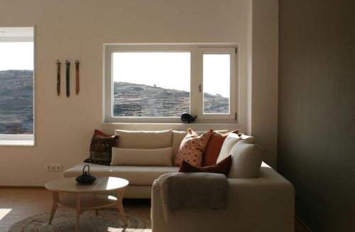 Syros Villa | Great house in a beautiful olive grove