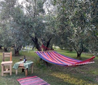 Nea Propontida House | Green Olive Studios