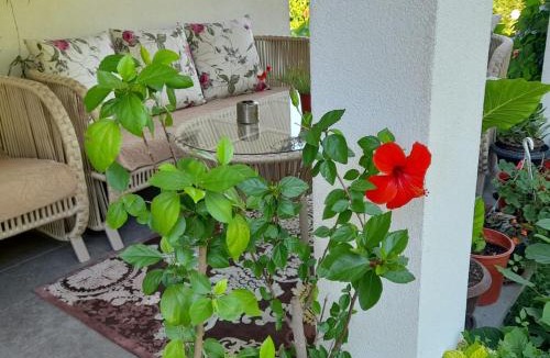 Pejë House | Green Paradise Villa