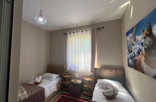 Theth House | Guesthouse Villa Gurra