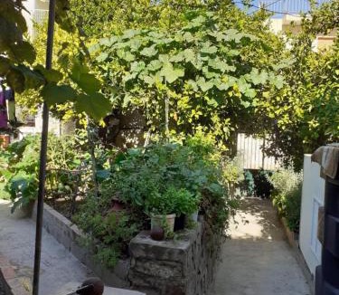 Mytilene Apartment | Hidden Garden