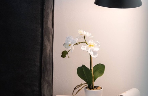 Tsoukaladhes Apartment | High-end Luxury Apartment & Convenient Location