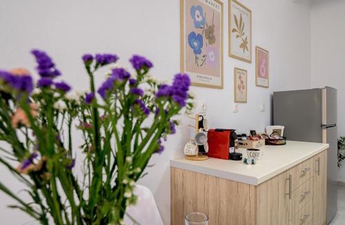 Alexandroupoli Apartment | HomeStory AXD