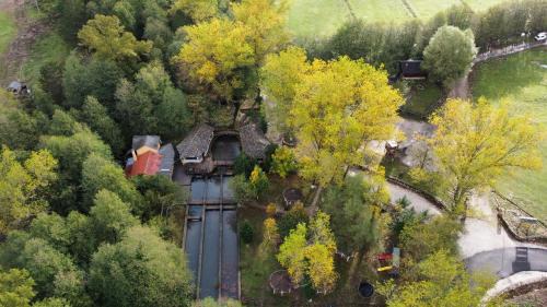 Korce House | Horse Riding Albania