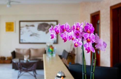 Leptokaria Hotel | Hotel Dimitria