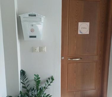 Argostoli Town Apartment | il Dolcino Central Studio - Apartment Kefalonia