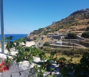 Evdilos House | Iliana's courtyard