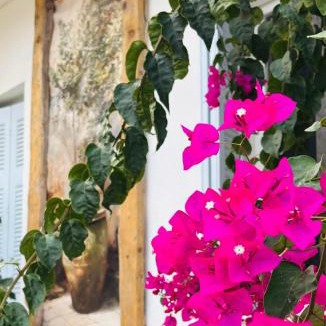 Poros House | Island Traditional House