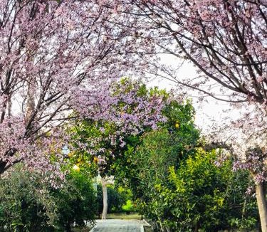 Nafplio House | Jutta's house