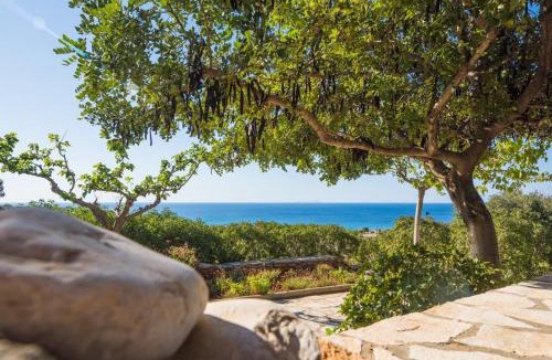 Kithira House | Kytherian Harmony - Paleopolis Estate
