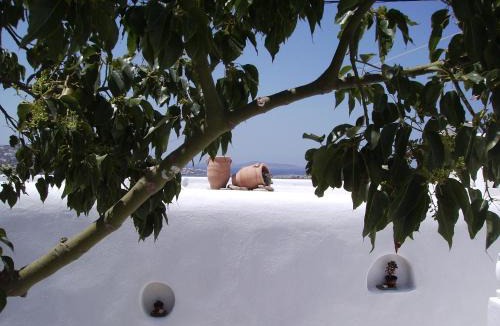 Mykonos Town House | La Veranda of Mykonos Traditional Guesthouse