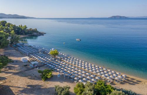 Lagomandra Hotel | Lagomandra Hotel and Spa