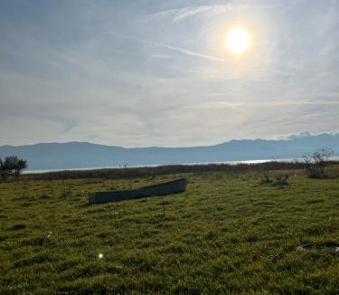 Grile Villa | Lake shkodra