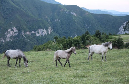 Kukes County Hotel | Lala Resort