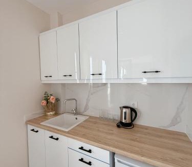 Dafni-Ymittos Apartment | M&H and their friends A