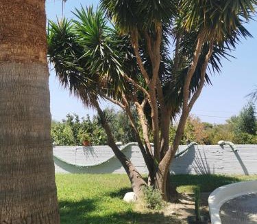 Petaloudes Villa | Malibu Villa