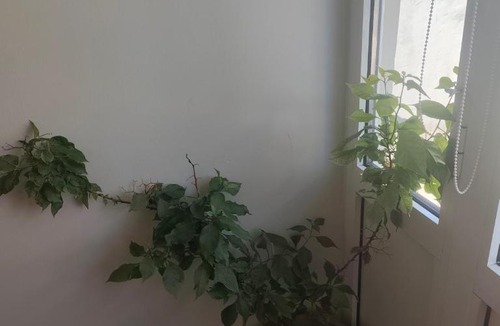 Didymoteicho Apartment | Marina apartment