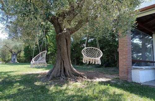 Afytos Apartment | Marios Garden House