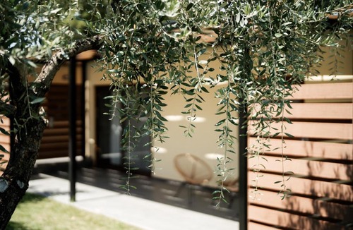 Megalos Prinos Hotel | Meraki luxury bungalows