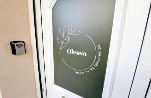 Igoumenitsa Apartment | Oleoso