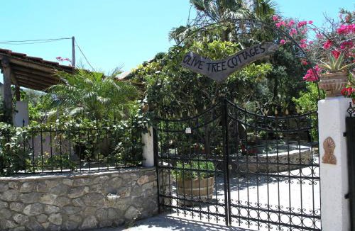 Kantanos-Selino Apartment | Olive tree Cottages