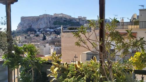 Plaka Hotel | Omiros Hotel