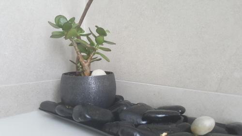 Ormos Panagias Apartment | Ormos Luxury Suites Ammos